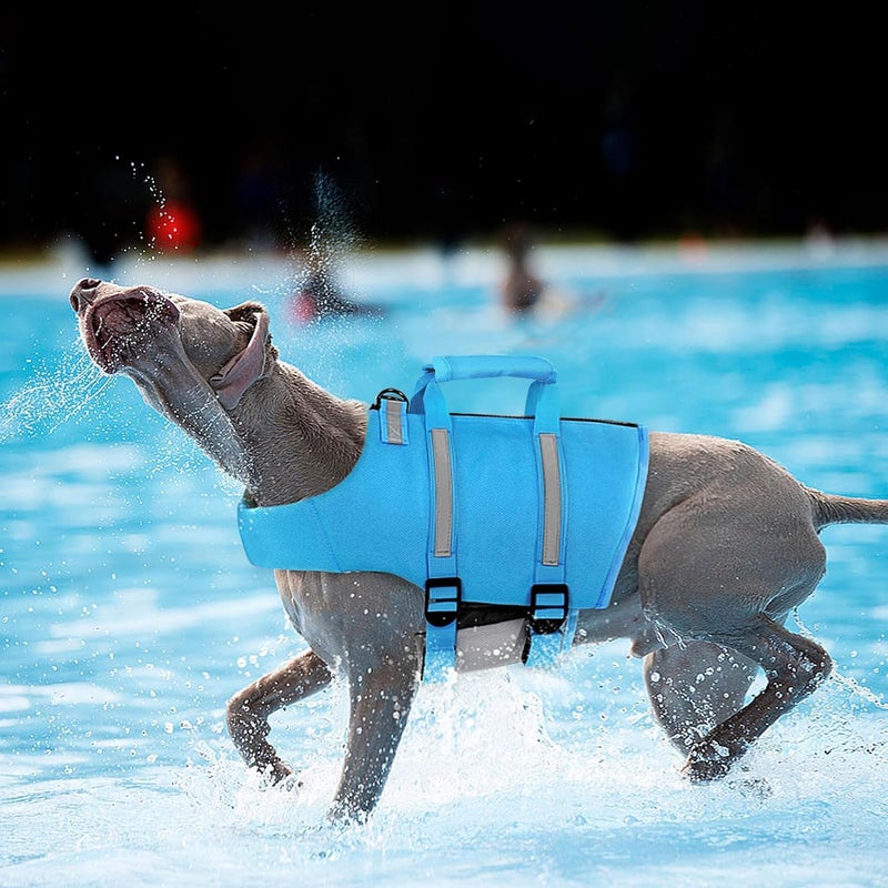 Queenmore Large Dog Swimming Life Jacket with Back Zip, Rescue Handle, Hook (Blue L) - Image 3